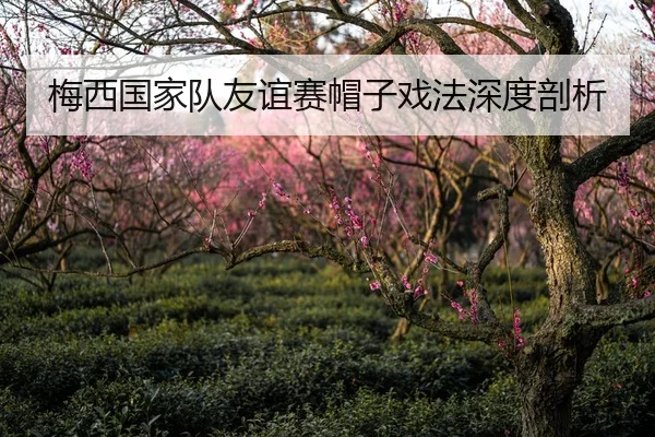 梅西国家队友谊赛帽子戏法深度剖析